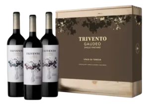 ESTUCHE TRIVENTO GAUDEO X3U
